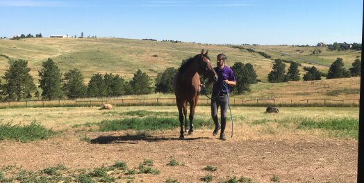 Thoroughbred Makeover Diaries Presented By Excel Equine: The Difference Between Picture Perfect And Real Life With An OTTB