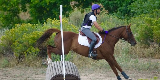 Thoroughbred Makeover Diaries Presented By Excel Equine: Horowitz’s Unlikely Journey from Broadcasting to Riding Horses